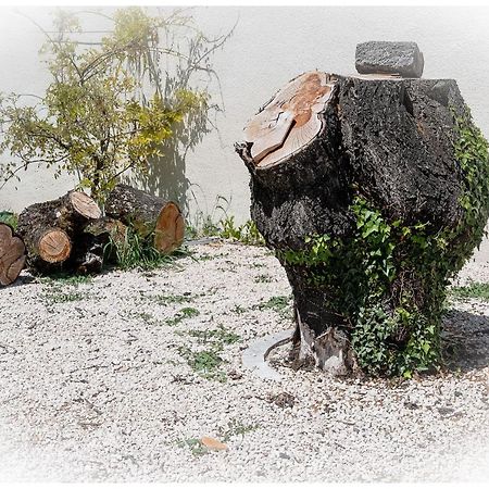 Maison De Retraite Vertaizon Dış mekan fotoğraf